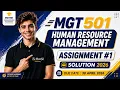 MGT501 Assignment 1 Solution 2065 100 Correct Solution By The Merciful Academy