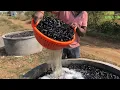 Plastic dana making process step by step | Drip irrigation system (part no. 1)#dripirrigationsystem