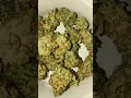 GMO 29 THC Premium Smalls Flower Insa