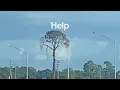 Download Lagu If You See This Tree Your Day Is Ruined…