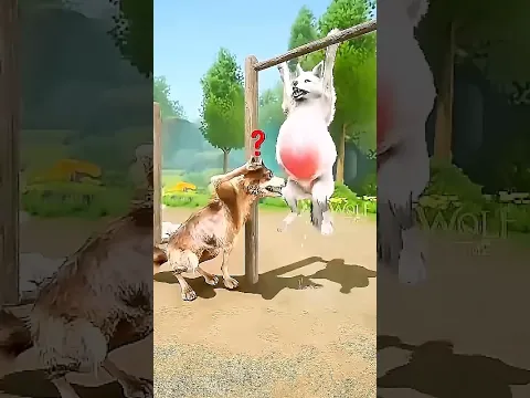 ELE NÃO ESPERAVA SER PAI DESSE JEITO! 😂😱🐺
