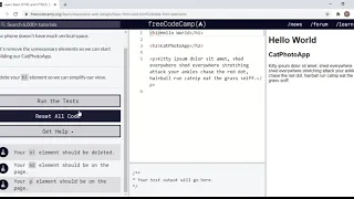 Basic HTML and HTML5 Delete HTML Elements - FreeCodeCamp