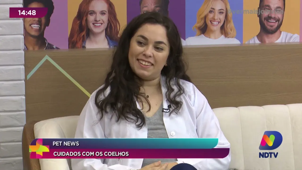 Pet News: cuidados com os coelhos