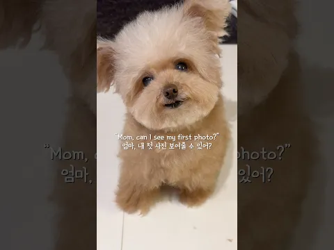 엄마, 내 첫 사진 보여줄 수 있어??