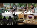 Mahogany Cafe - Maragondon Cavite a cafe situated in the middle of 2 500 mahogany trees