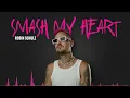 Robin Schulz - Smash my Heart [Official Visualizer]
