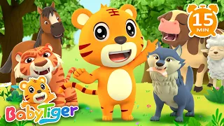 animals songs kids songs nursery rhymes songs for kids babytiger