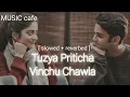 Download Lagu Tuzya Priticha Vinchu Chawala [ slowed + reverbed ]