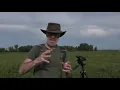 Download Lagu Leer de drie soorten zwaluwen herkennen die je in ons land kunt zien (plus 1 toegift)