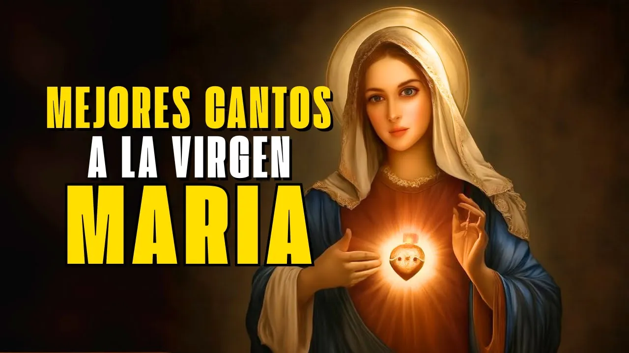 MEJORES CANTOS A MARÍA || LA CANCIÓN CATÓLICA DEL AÑO 2025 🕊️ #cancionesalavirgenmaria MEJORES CANTOS A MARÍA || LA CANCIÓN CATÓLICA DEL AÑO 2025 🕊️ #cancionesalavirgenmaria