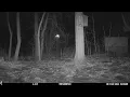 Mountain Lion One with