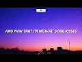 Shawn Mendes - Stitches (Lyrics)