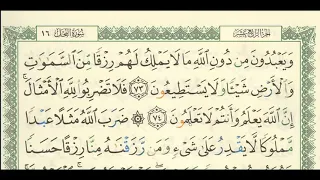 شرح تفسير لسورة النحل من آية ٧٣ إلى آية ٧٩ للشيخ فهد العمار 