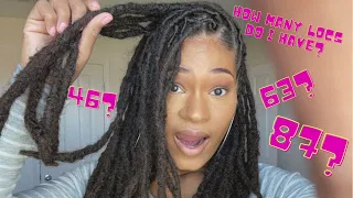 Loc Count How Many Dread Locs Do I Have