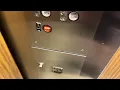 Dillard s-Tyrone Mall-St Pete FL