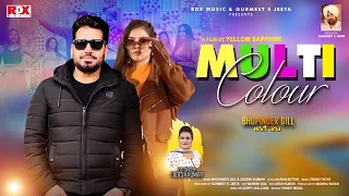 Multi Colour | Singer Bhupinder Gill & Sudesh Kumari | Latest Punjabi Song 2023 | RDX Music