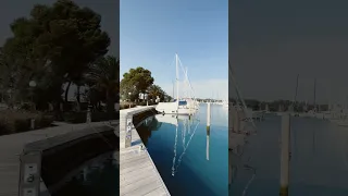 What do you think of our marina? #travel #boatdog #sailinglife