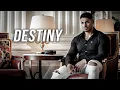 Destiny - Andrei Deiu