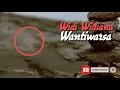 Download Lagu Widi Widiana - Wantiwarsa