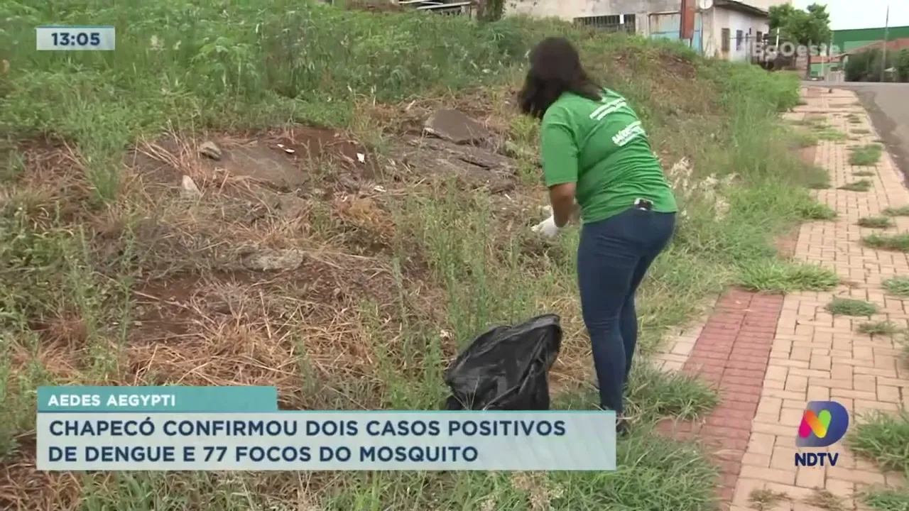 Chapecó confirmou dois casos positivos de dengue e mais de 70 focos do mosquito