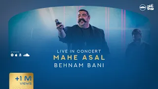                                             بهنام بانی   ماه عسل   دندنها