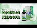 Download Lagu Minuman Wajib Setiap Hari | K-Liquid Chlorophyll