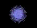Rare Graphics786