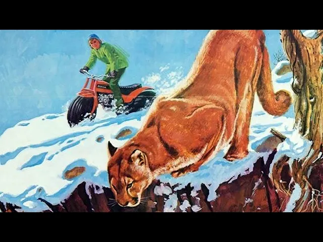Trap on Cougar Mountain (1972) - Trailer HD 1080p