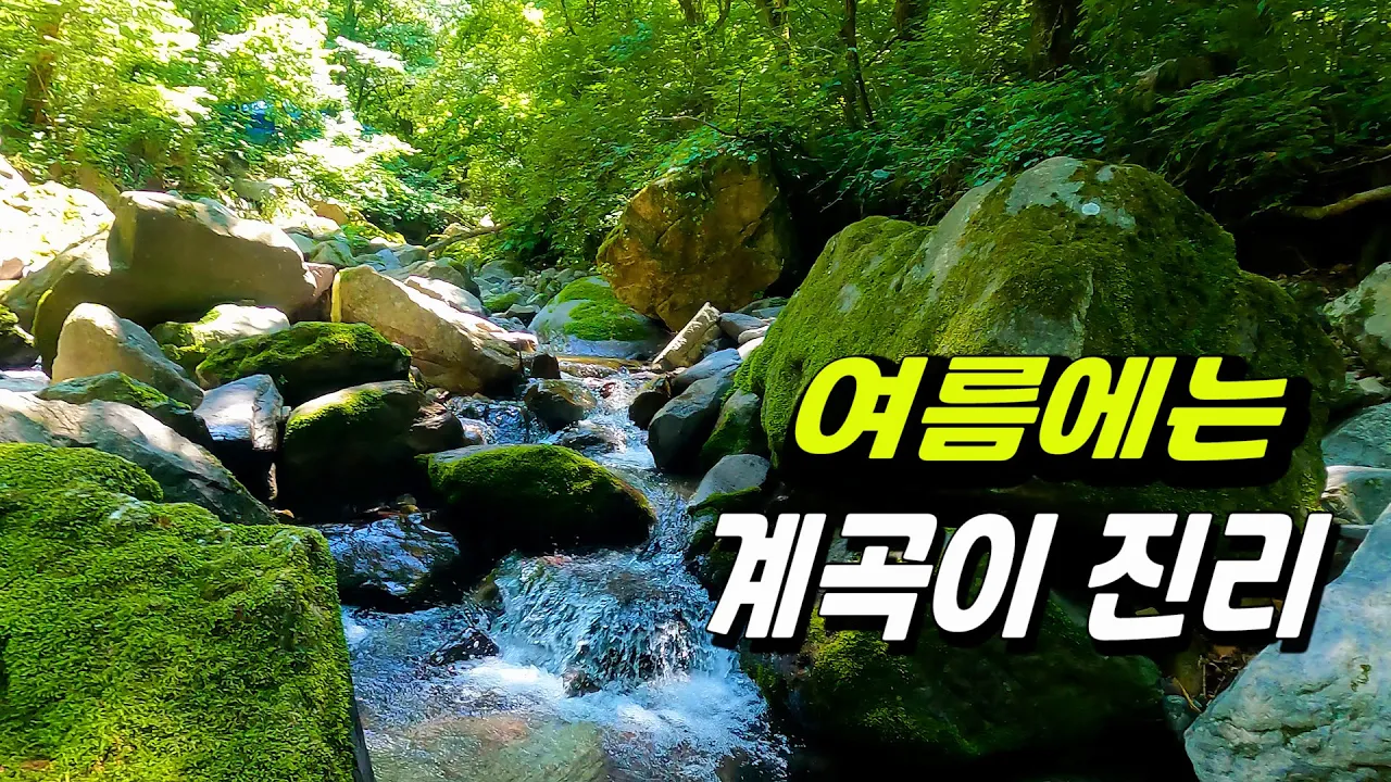더울때는 계곡으로~ 계곡 차박지 サムネイル