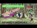 Download Lagu LAGU KEREN TERBARU#SEMANGAT PRAMUKA#DASAMOND BY PRAMUKA INDONESIA