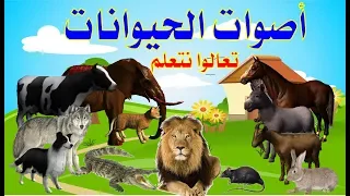 أسماء وأصوات الحيوانات للاطفال تعليم أصوات الحيوانات للأطفال باللغة العربية 