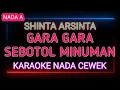 Download Lagu GARA GARA SEBOTOL MINUMAN - KARAOKE NADA CEWEK - SHINTA ARSHINTA