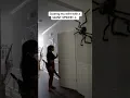 Download Lagu SCARING MY WIFE WITH A GIANT SPIDER 😳