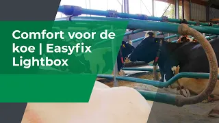 Bijzonder goed comfort voor de koe Easyfix Ligbox