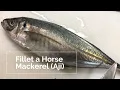 Japanese chef fillets a Horse Mackerel Aji