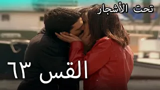 63 سنوات الضياع 