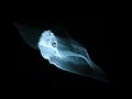 Floating Points - 'Grammar' (Official Audio)