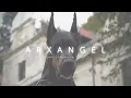 ARXANGEL von Schwarze Kraft The Dobermann King of the Castle 4K