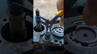 Https Vt Tiktok Com ZSA64jCbu 