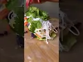 Download Lagu 🥬 VIETNAMESE RICE PAPER ROLLS WITH SATAY SAUCE🥜