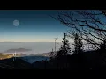 Download Lagu Surah Sad [38:27-44] Amazing Taraweeh Recitation Sheikh Hamza Moath