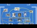 Tundra Biome Food Web
