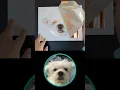 Download Lagu My drawing of the adorable dog named Mung