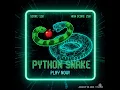 Snake Game in Python Python Program University Project