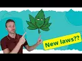 Marijuana testing for employment - Full details