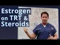 Estrogen on TRT Steroids