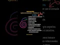 Download Lagu Símbolo Reiki : Day Ko Myo