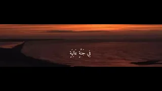 اللهم ارحم أبي فقيد قلبي واغفرله وآنس وحشته ووسع قبره  دندنها