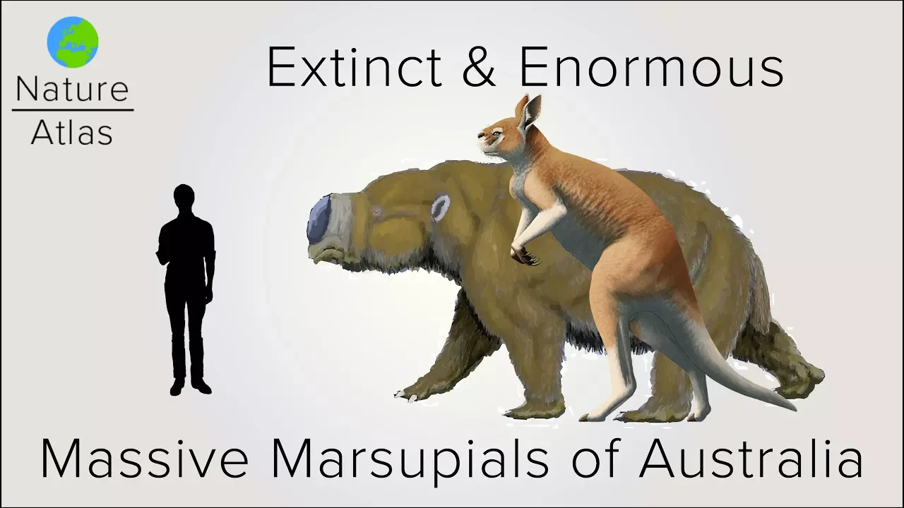 Extinct & Enormous: The Massive Marsupials of Australia
