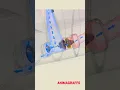 Download Lagu How an airliner APU (auxiliary power unit) works
